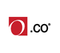 Overstock computers